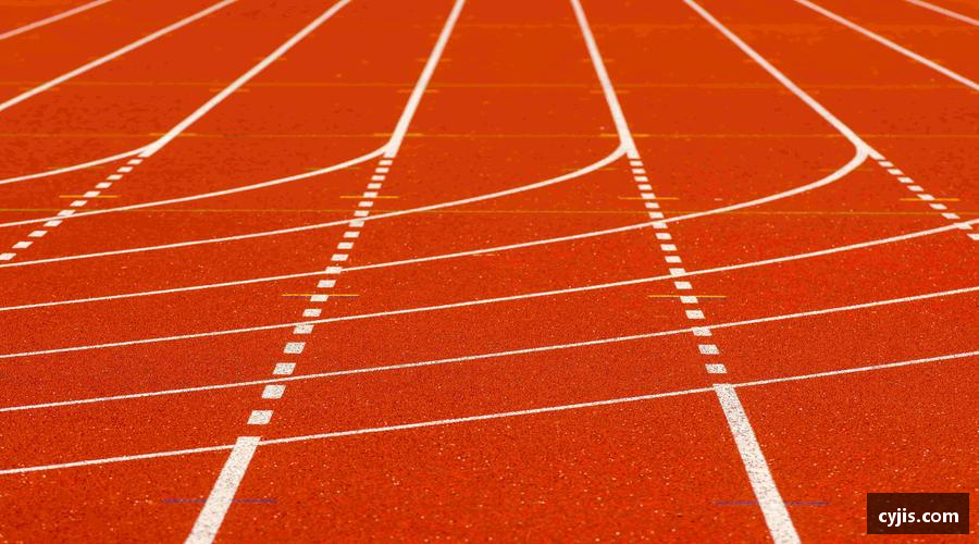 333体育直播独家赛事，与全球球迷共狂欢！🎉🏆